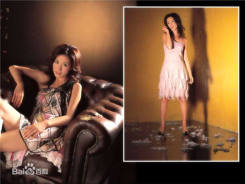 最全佘诗曼(Charmaine Sheh)精彩图册