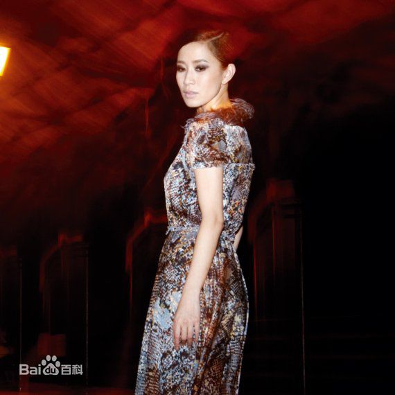 最全佘诗曼(Charmaine Sheh)精彩图册