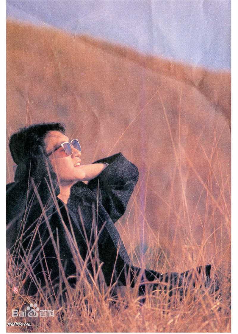 吴启华(Lawrence Ng Kai Wah)早期照片图片图册