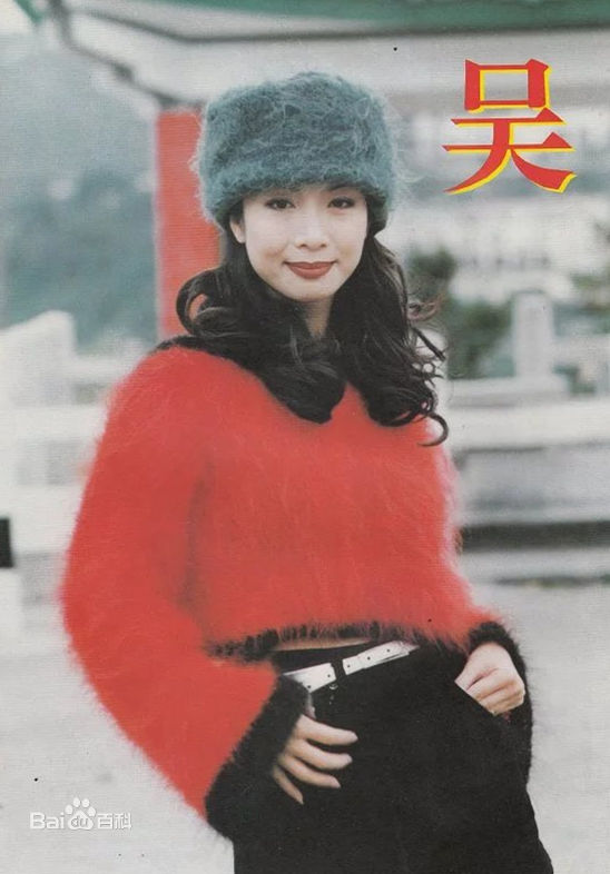 最优质吴家丽(Carrie Ng)素颜照