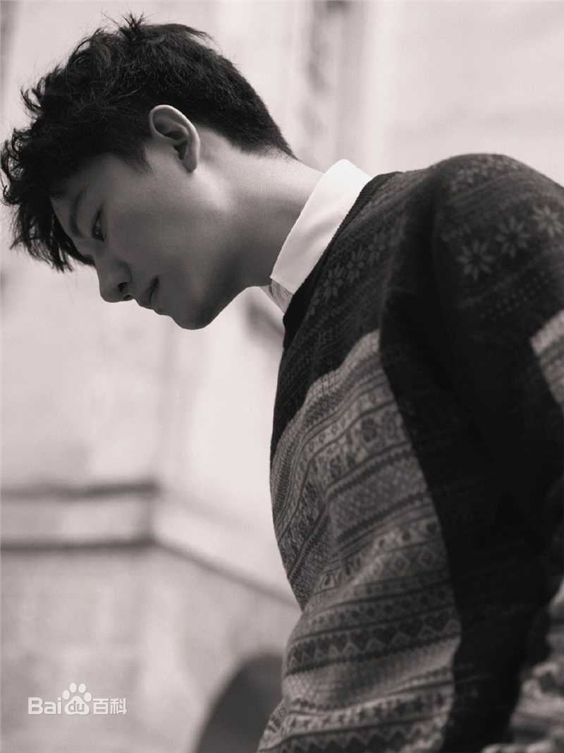 黄轩(Huang Xuan)精选照片素颜照壁纸