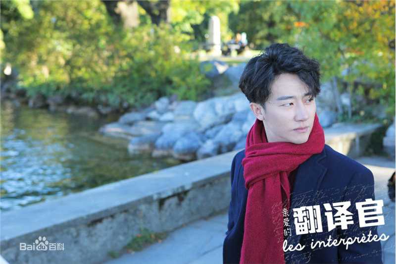 黄轩(Huang Xuan)在《亲爱的翻译官》程家阳中的