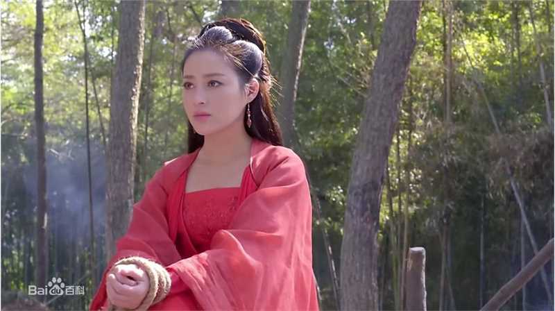 甘婷婷(Gan Ting Ting)新萧十一郎剧照