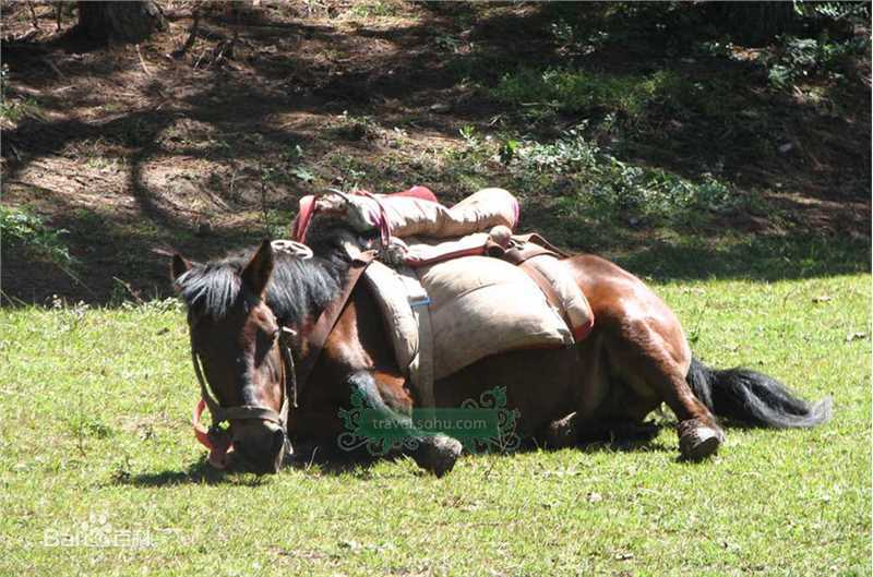杜淳(Du Chun)精彩图册