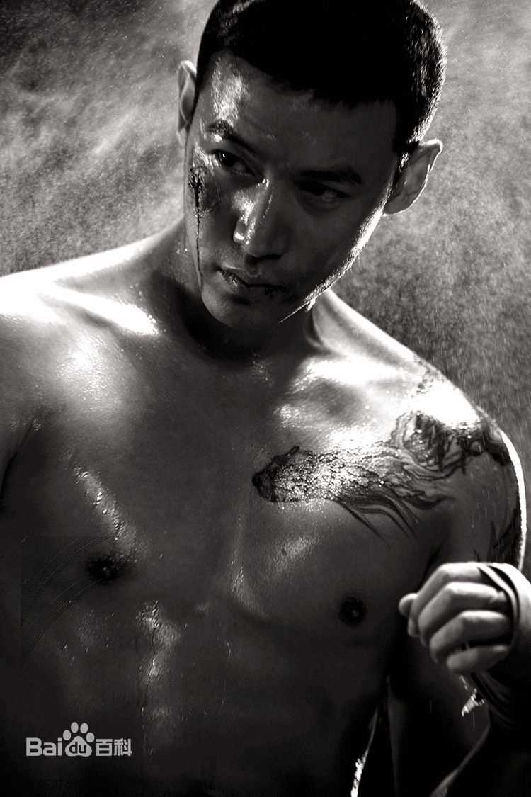 陆毅(Lu Yi)影视形象前后照片