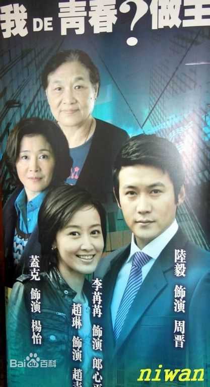 陆毅(Lu Yi)电视剧最全海报壁纸