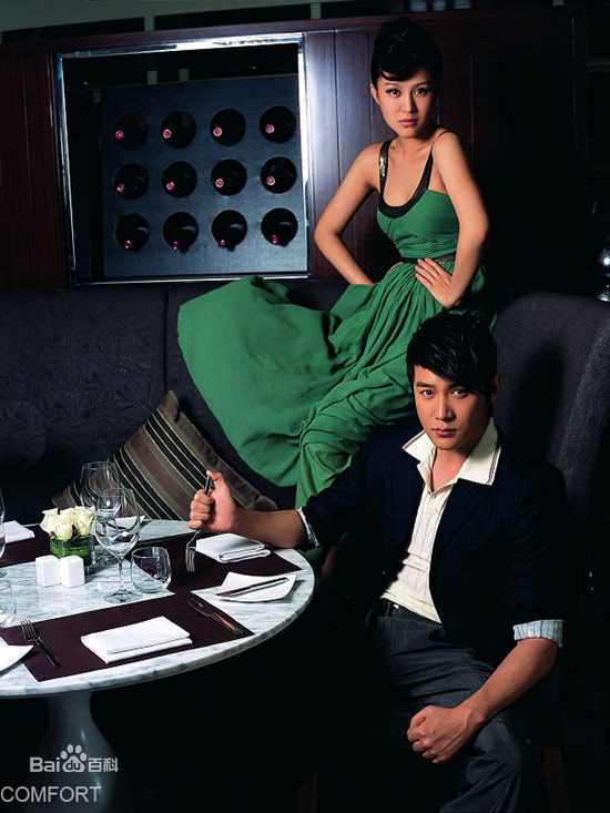 陆毅(Lu Yi)和鲍蕾壁纸壁纸