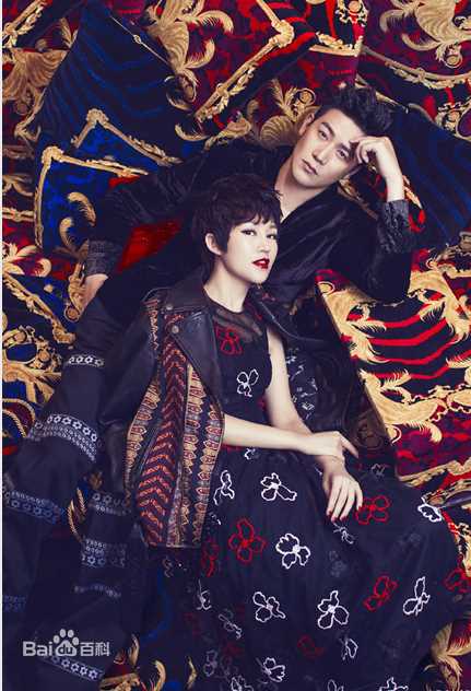 陆毅(Lu Yi)和鲍蕾壁纸壁纸