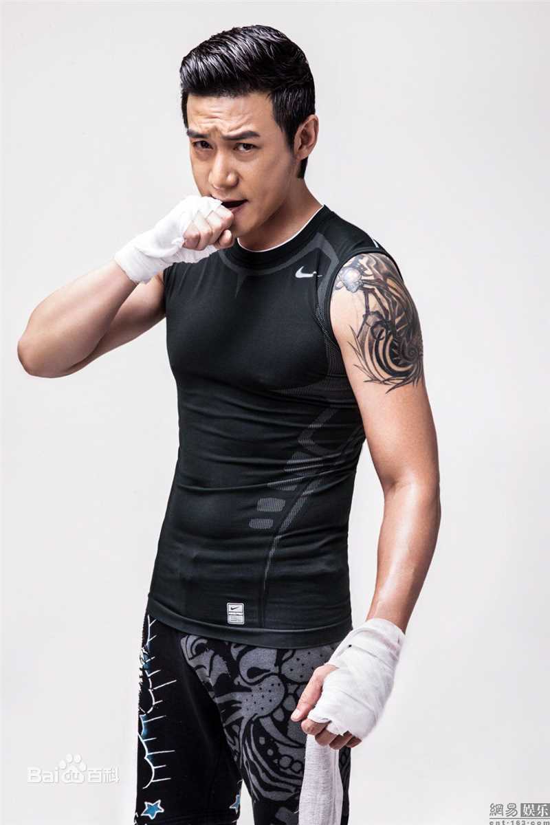 陆毅(Lu Yi)最优质相册