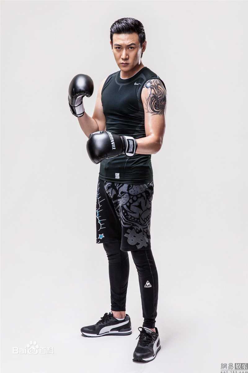 陆毅(Lu Yi)最优质相册