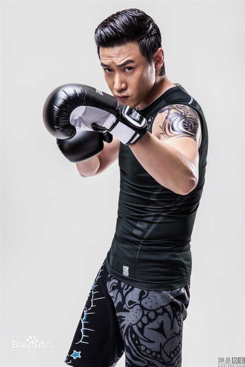 陆毅(Lu Yi)最优质相册