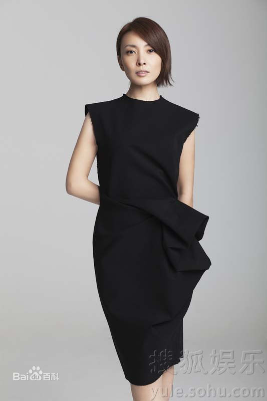 最优质陆毅(Lu Yi)精彩图册