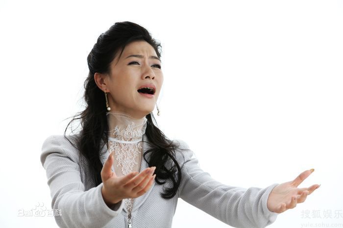 最优质陆毅(Lu Yi)精彩图册