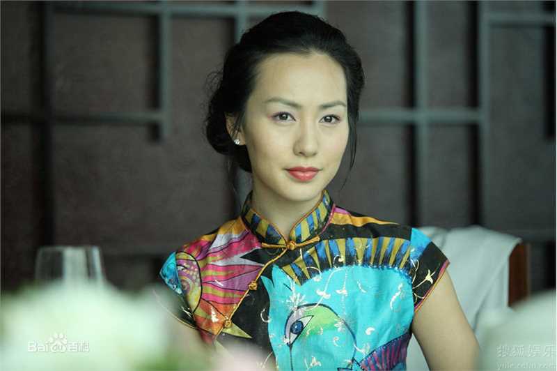 最优质陆毅(Lu Yi)精彩图册