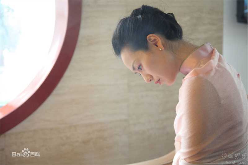 最优质陆毅(Lu Yi)精彩图册