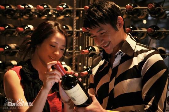 最新陆毅(Lu Yi)在2008年《爱情左灯右行》饰演律师中的壁纸