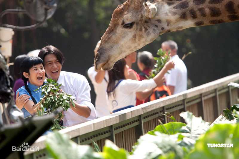 陆毅(Lu Yi)在2009年《美丽密令》饰演陆志昂中的