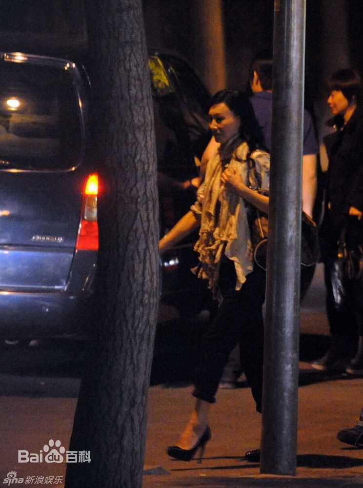 精选惠英红(Kara Wai)精彩图册