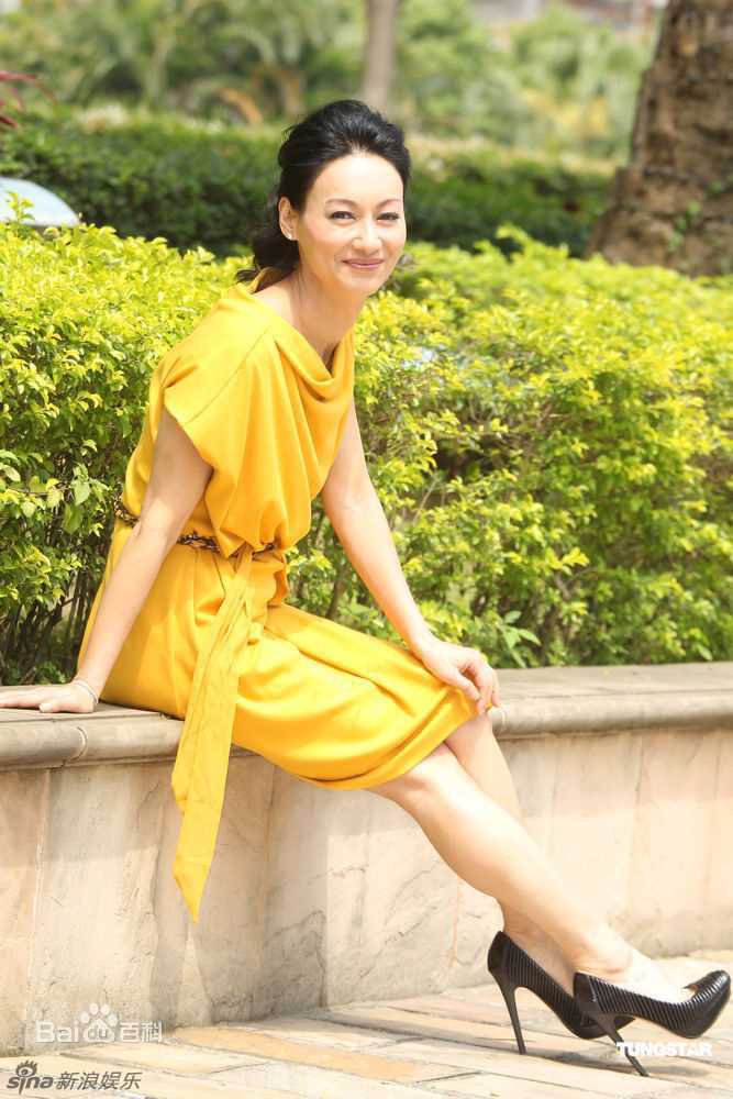 精选惠英红(Kara Wai)精彩图册