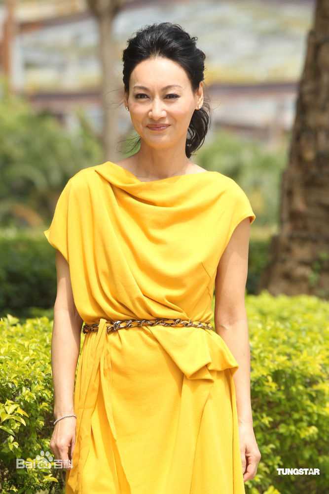 精选惠英红(Kara Wai)精彩图册