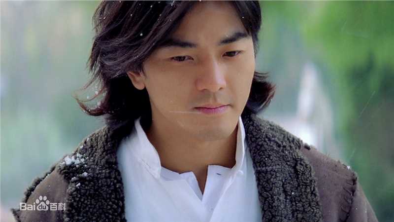 郑伊健(Ekin Cheng)中华英雄精选剧照饰演华英雄