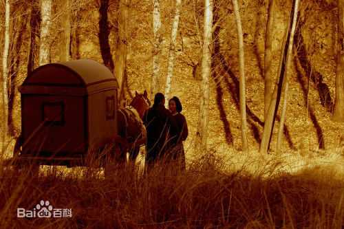 郑伊健(Ekin Cheng)霍元甲图册