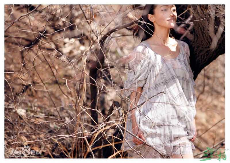 周迅(Zhou Xun)最新杂志图片壁纸