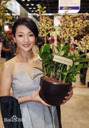 周迅(Zhou Xun)2008年公益活动生活照