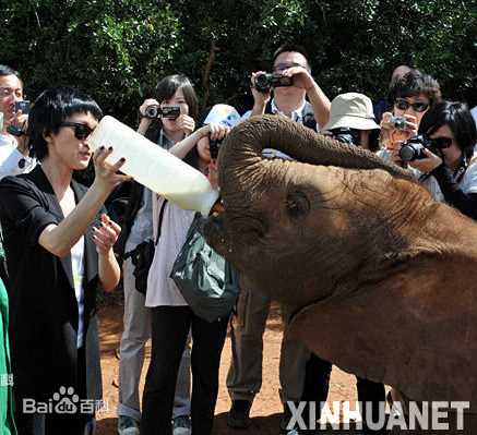 周迅(Zhou Xun)2009~2010 公益活动前后照片