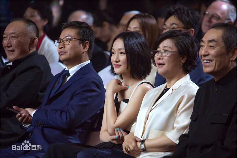 周迅(Zhou Xun)奖项图册