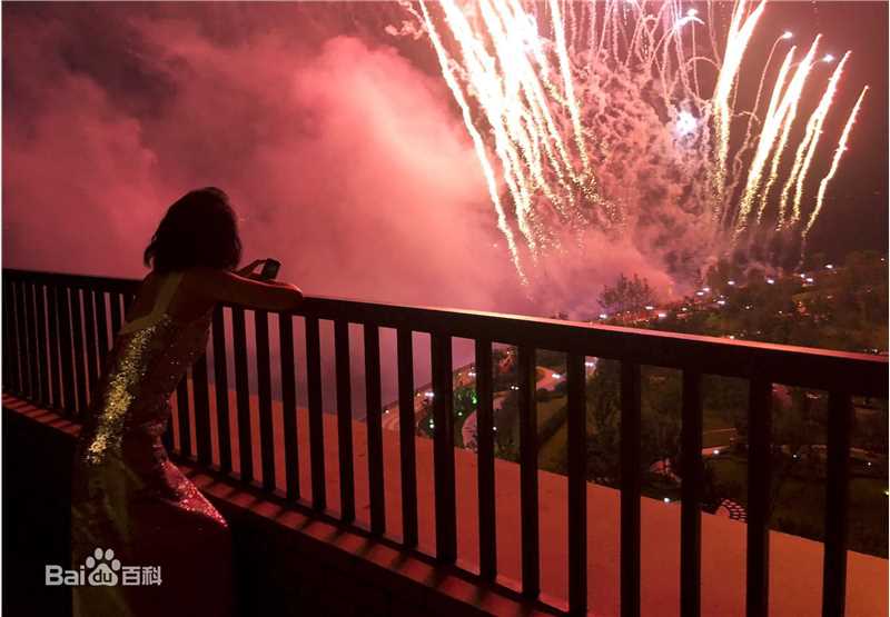 周迅(Zhou Xun)首届上合国家组织电影节图册