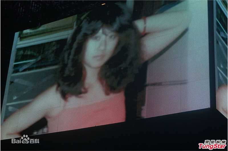 最优质叶倩文(Sally Yeh)精彩图册