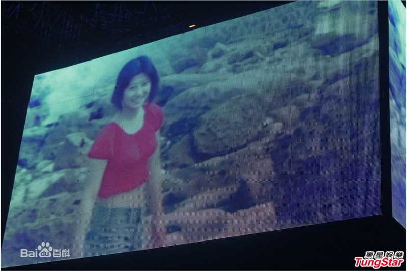 最优质叶倩文(Sally Yeh)精彩图册