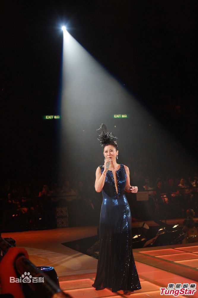 最优质叶倩文(Sally Yeh)精彩图册