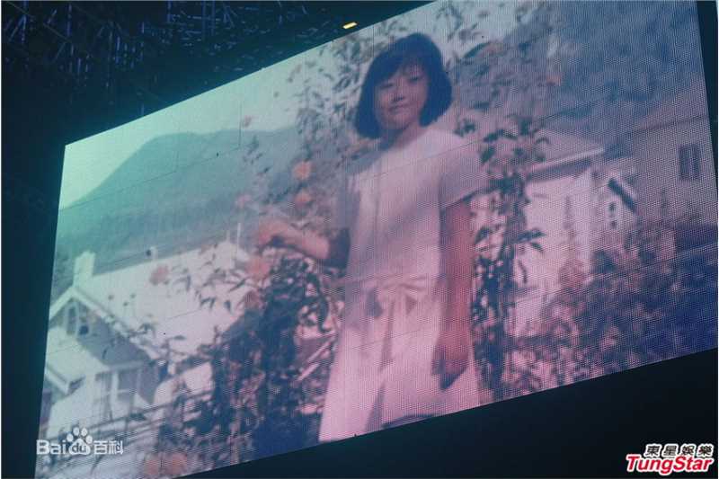 最优质叶倩文(Sally Yeh)精彩图册