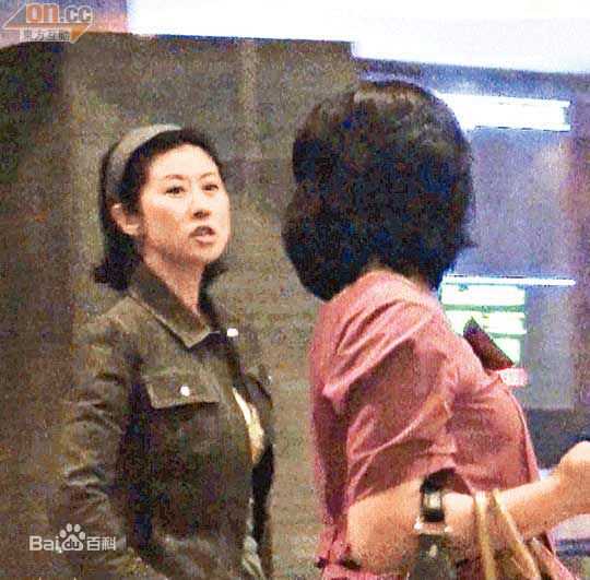 最优质叶倩文(Sally Yeh)精彩图册