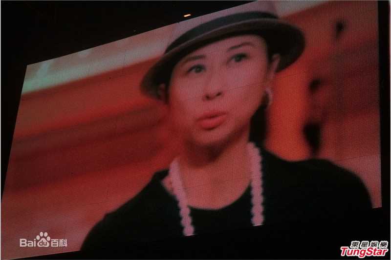 最全叶倩文(Sally Yeh)精彩图册