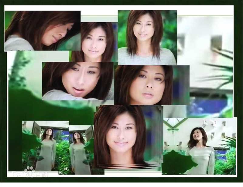 精选叶倩文(Sally Yeh)精彩图册