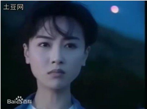 袁洁莹(Fennie Yuen)1995年《新同居关系》高清剧照