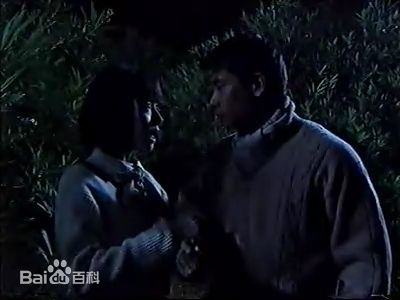 袁洁莹(Fennie Yuen)1998年《中华大丈夫》最优质剧照