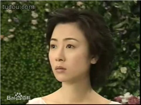 袁洁莹(Fennie Yuen)2001年《勇探实录》 精选剧照