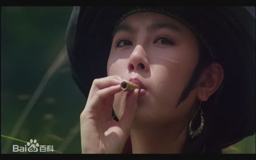 袁洁莹(Fennie Yuen)2004年《肥姐挂帅》高清剧照