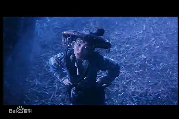 袁洁莹(Fennie Yuen)2004年《肥姐挂帅》高清剧照