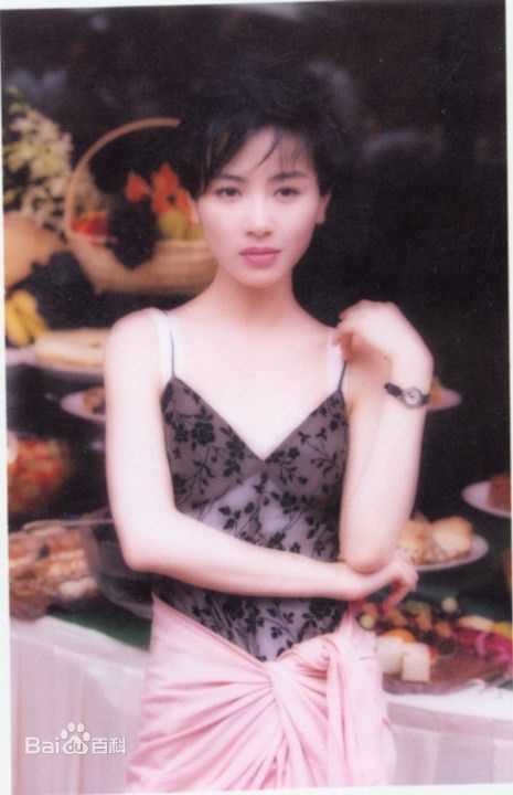 最优质袁洁莹(Fennie Yuen)精彩图册