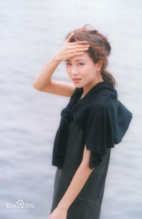 最优质袁洁莹(Fennie Yuen)精彩图册