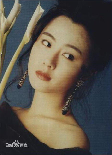 最优质袁洁莹(Fennie Yuen)精彩图册