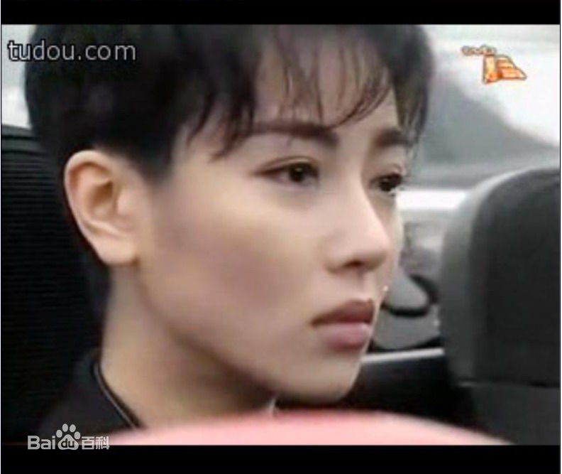 最优质袁洁莹(Fennie Yuen)精彩图册