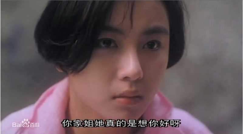 最优质袁洁莹(Fennie Yuen)精彩图册