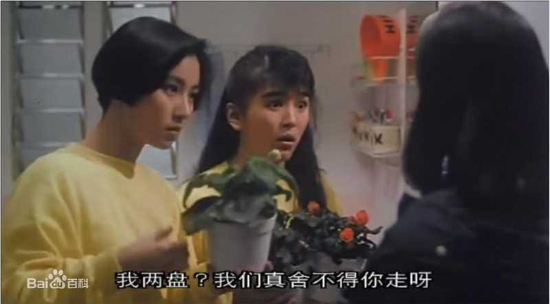 最优质袁洁莹(Fennie Yuen)精彩图册