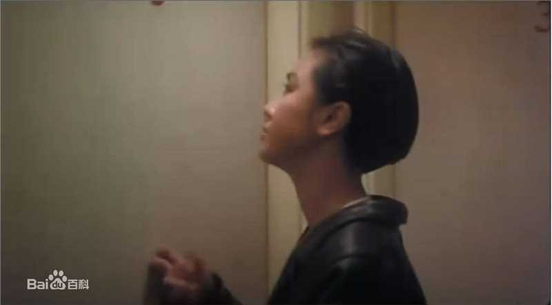 精选袁洁莹(Fennie Yuen)精彩图册